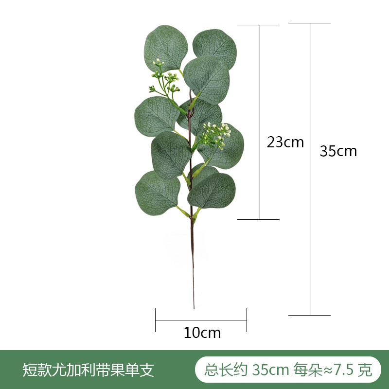 Picture of Eucalyptus leaves eucalyptus leaves simulation single simulation green plant christinae multicolor Frost White Frost eucalyptus
