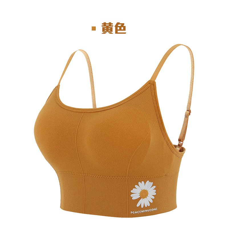 Picture of Daisy 2.0 girl bra back one-piece bra collection of thin non-steel sports underwear wrapped chest pad