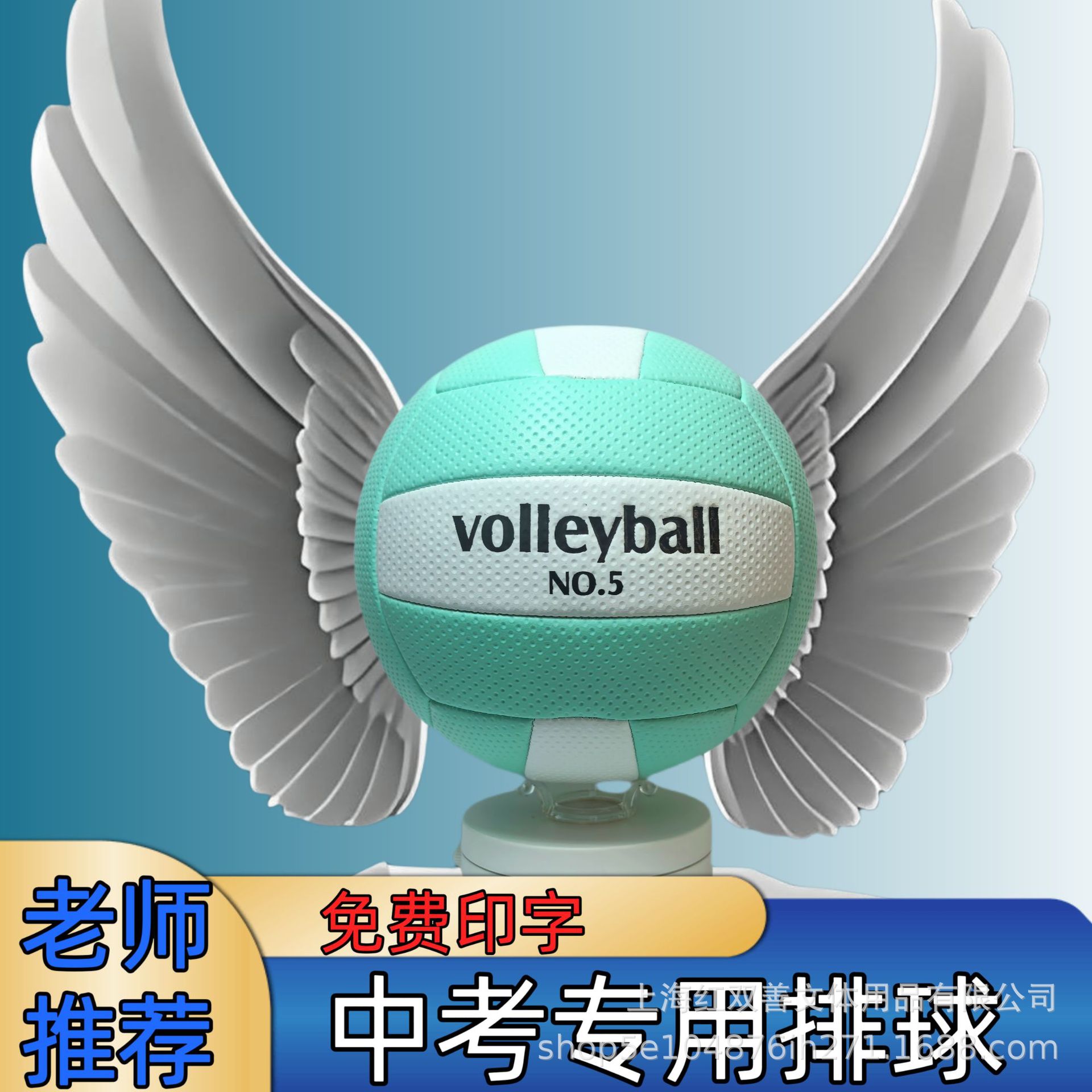 Picture of Gao Yanyi No.5 Volleyball Senior High School Entrance Examination Special Standard Match Training Ball Junior High School Students Physical Education Examination Soft Hard Volleyball