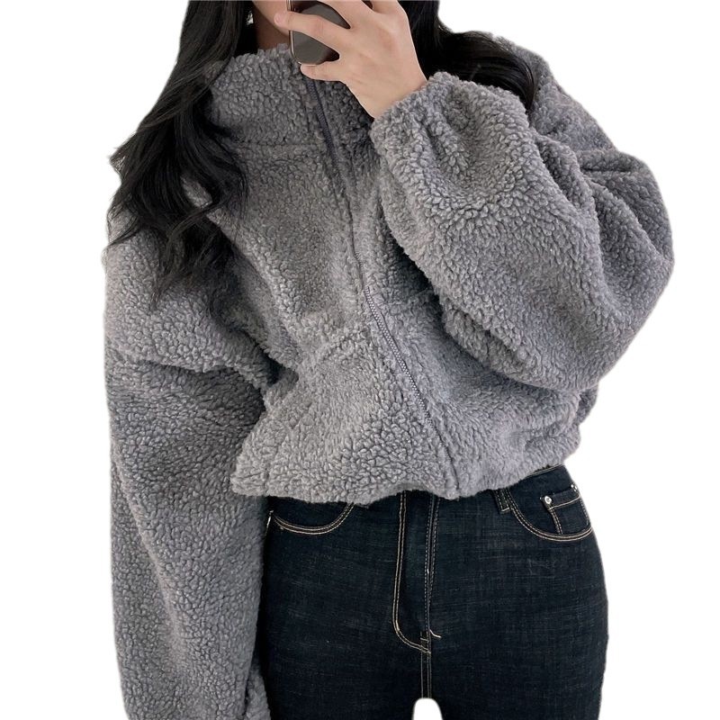 Picture of Korean Style Short Vertical Collar Warm Imitation Lamb Velvet Jacket Women's Autumn and Winter New Loose Zipper Cardigan Top