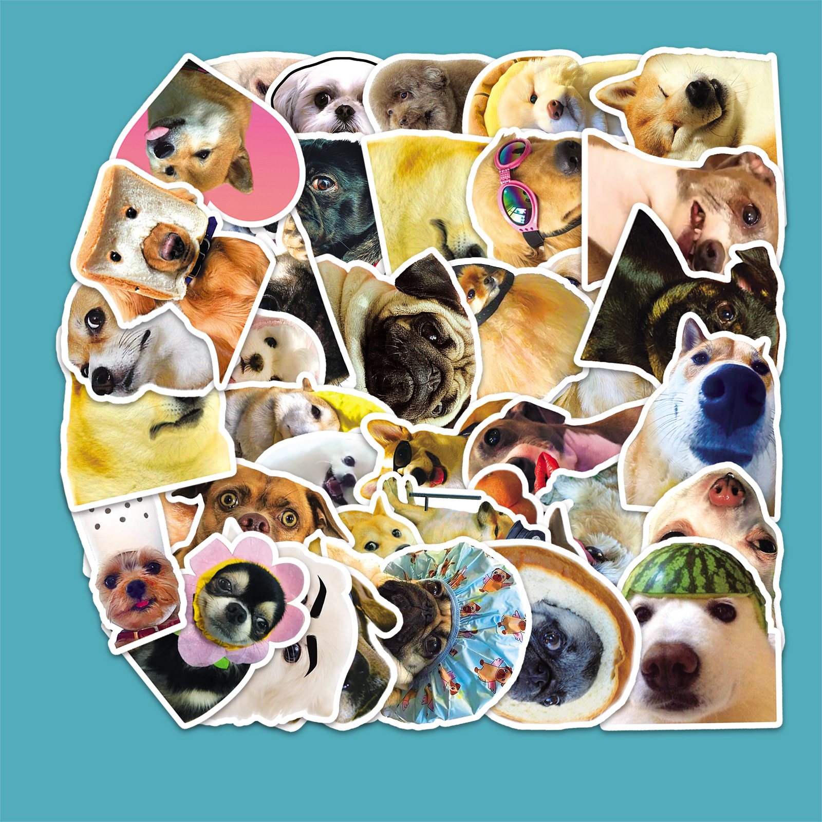 50 online Red Dog facial expression bag graffiti stickers personality cross-border cute DIY water Cup luggage stickers waterproof