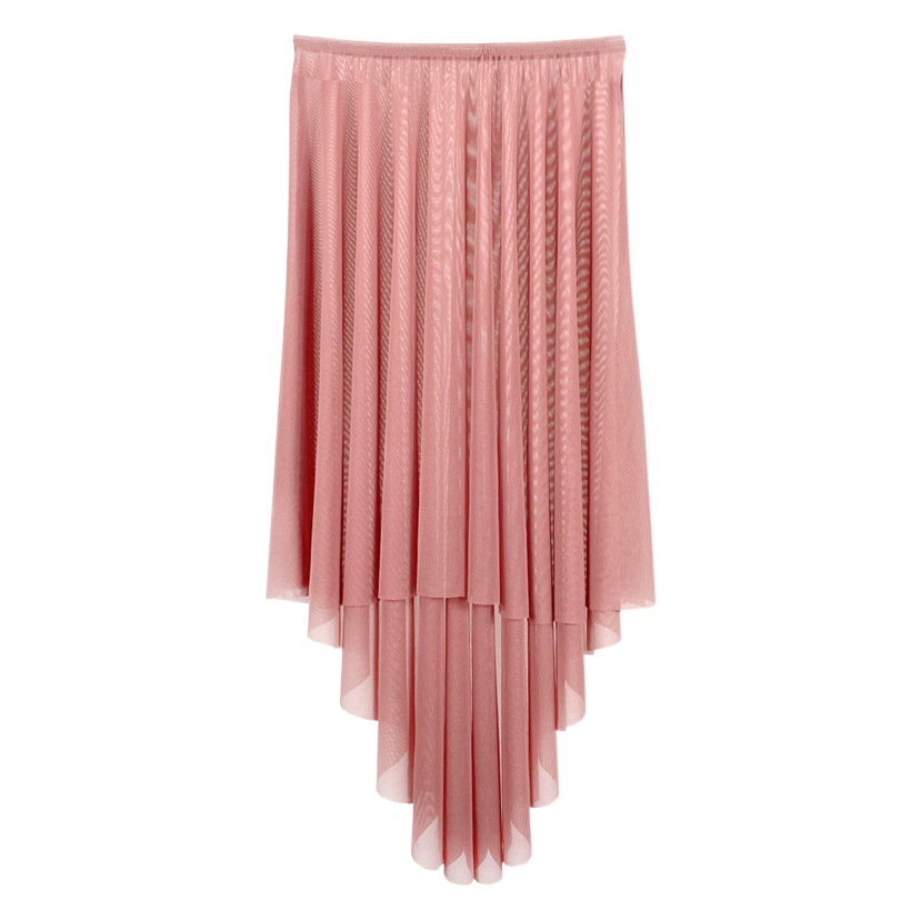 Dance Skirt Skirt Mesh Ballet Skirt Adult Female Chinese Teacher Dance Practice Dress Gauze Skirt Slant