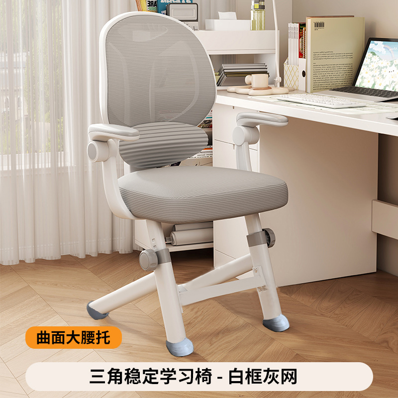 Study Chair, Special Chair for Middle School and High School Students, Youth Lifting Writing Chair, Ergonomic Computer Chair