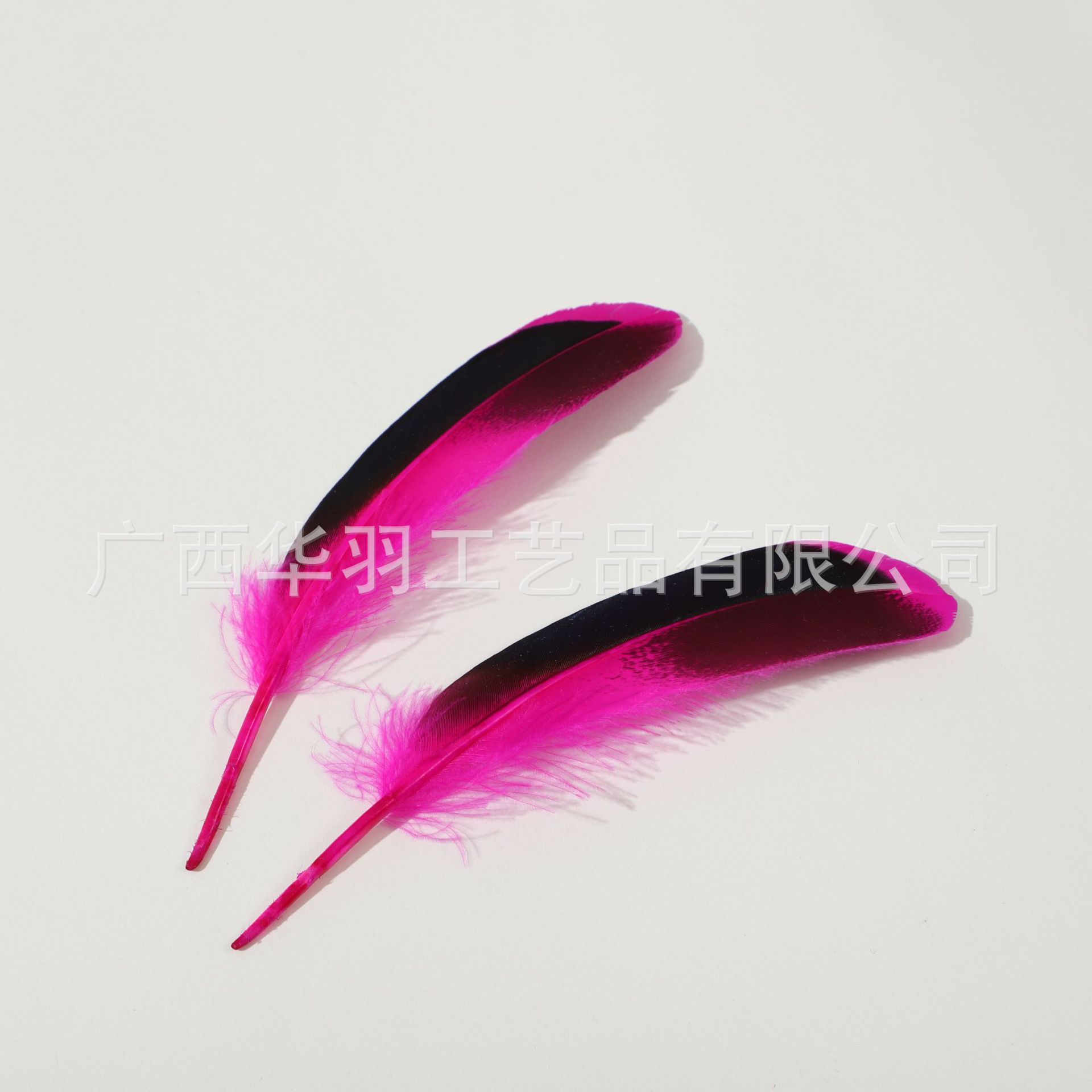 Picture of DIY Feathers, Natural Duck Feathers, Duck Feathers for Jewelry, Indian Headdress, Handmade Craft Decoration Materials, Creative and Natural