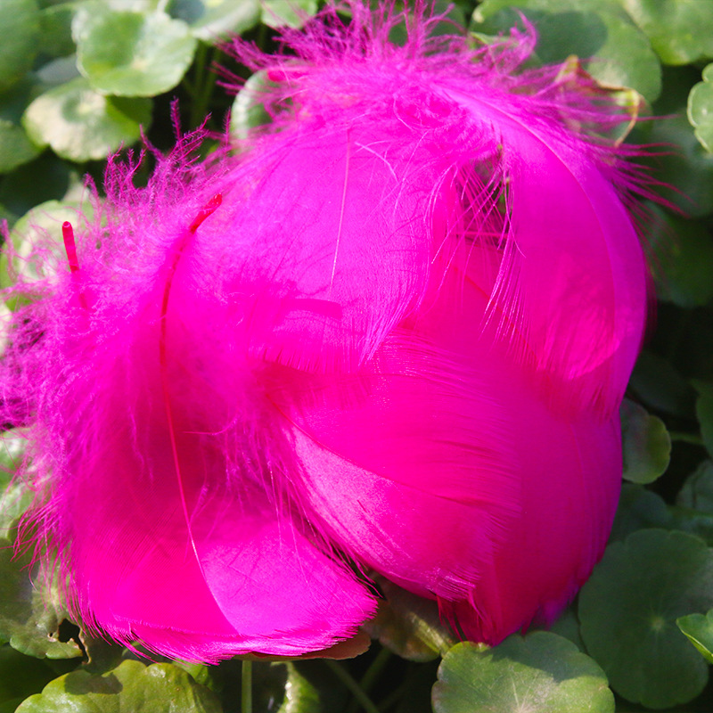 Picture of diy handmade color floating feather goose feather dream catcher wave ball gift box filling decoration materials