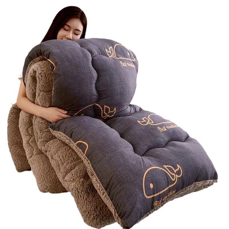 Picture of Cross-border Lamb Velvet Sanding Printed Winter Quilt Spring and Autumn Thickened Quilt Core Single Double Student Dormitory Air-conditioning Quilt