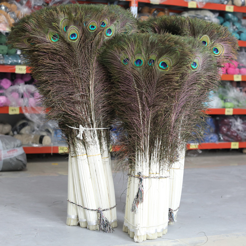 Wholesale Peacock Hair 120-130cm Long Peacock Feather Real Peacock Tail Feather Plume Flower Decoration Feather