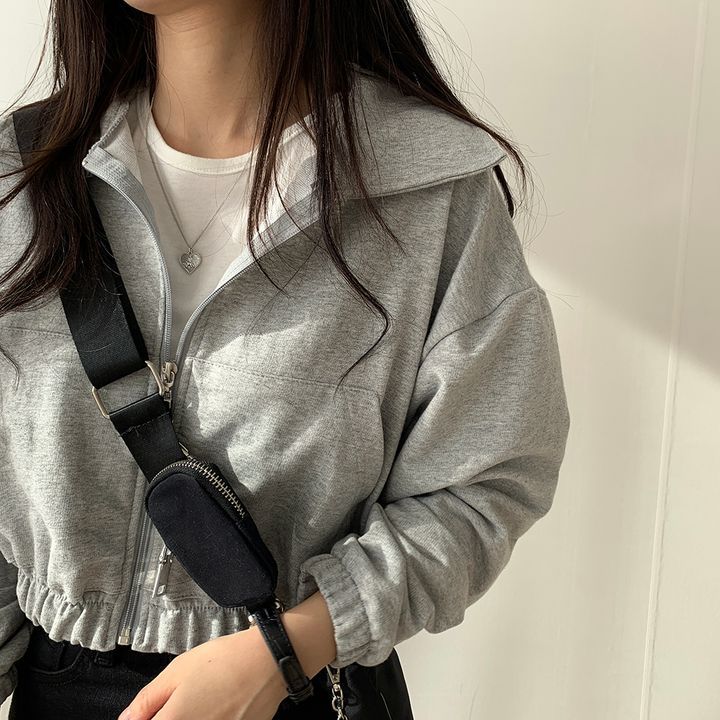 Picture of ins Super Hot Zipper Cardigan Sweatshirt Women's Spring Autumn and Winter Thin Coat Korean Fashionable Student Loose Fleece-lined Top