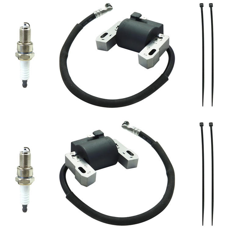 Briggs 799651 691060 499447 401577 592846 with Spark Plug 4 Cable Ties