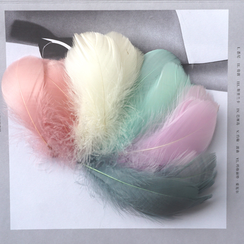 Picture of Color feather DIY floating dyeing goose feather dream catcher wave ball gift box filling decorative materials wholesale