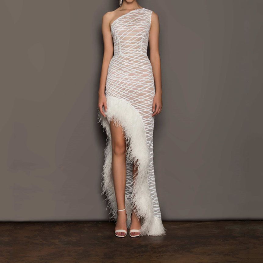 Picture of 2025 Cross-Border Spring and Summer New European and American Clothing Pure Color Sleeveless Asymmetrical Slope Collar Elegant Mesh Evening Dress Long Skirt