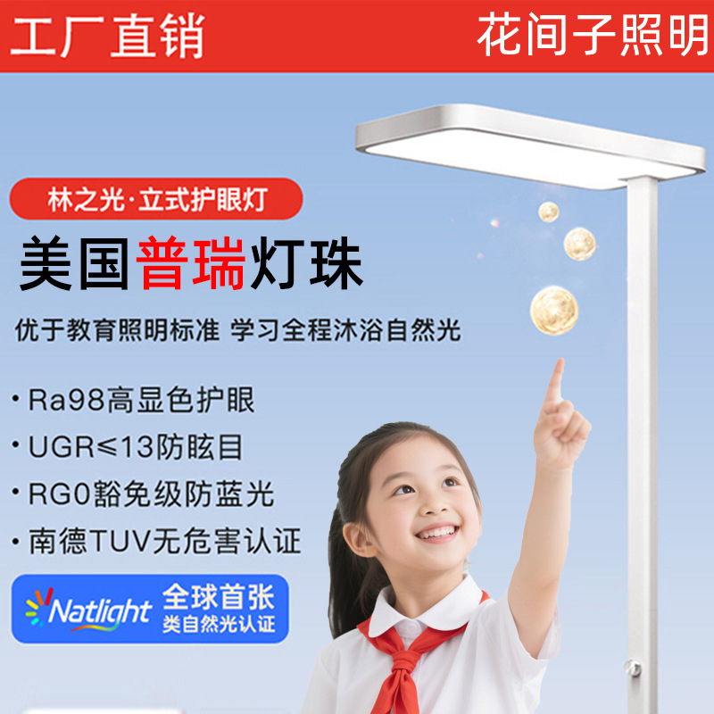 Street Lamp Full Spectrum Kidsren's Desk Lamp Eye Protection Learning Special Anti-Myopia Small Classroom Floor Lamp Piano Reading Lamp
