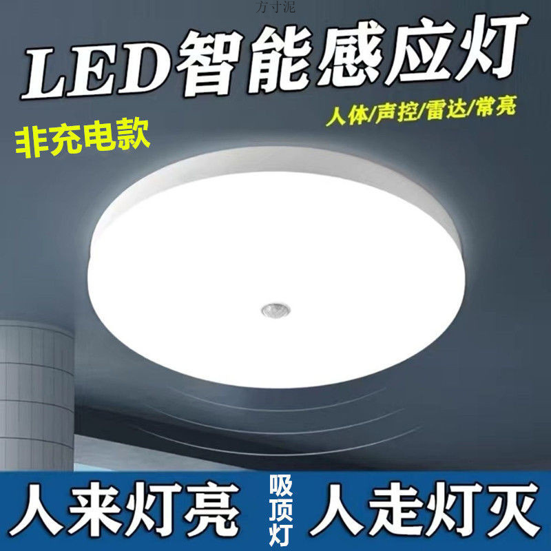 Light-Sensitive Led Light Intelligent Integrated Aisle Corridor Voice-Controlled Light Corridor Radar Infrared Human Body Sensor Light Home