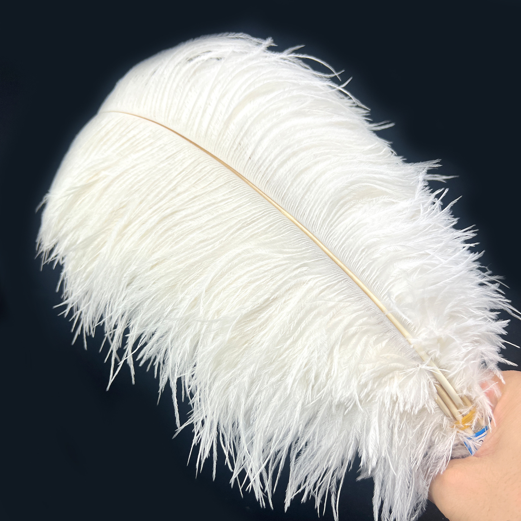 Picture of 40-45cm high quality thin rod ostrich feather source manufacturers wholesale wedding decoration feather DIY crafts stage clothes