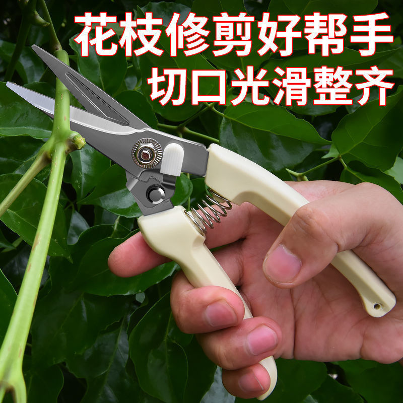 Garden Scissors, Pruning Shears, Fruit Picking Tools, Branch Scissors, Flower Branch Scissors, Persimmon Pruning Shears, Branch Scissors