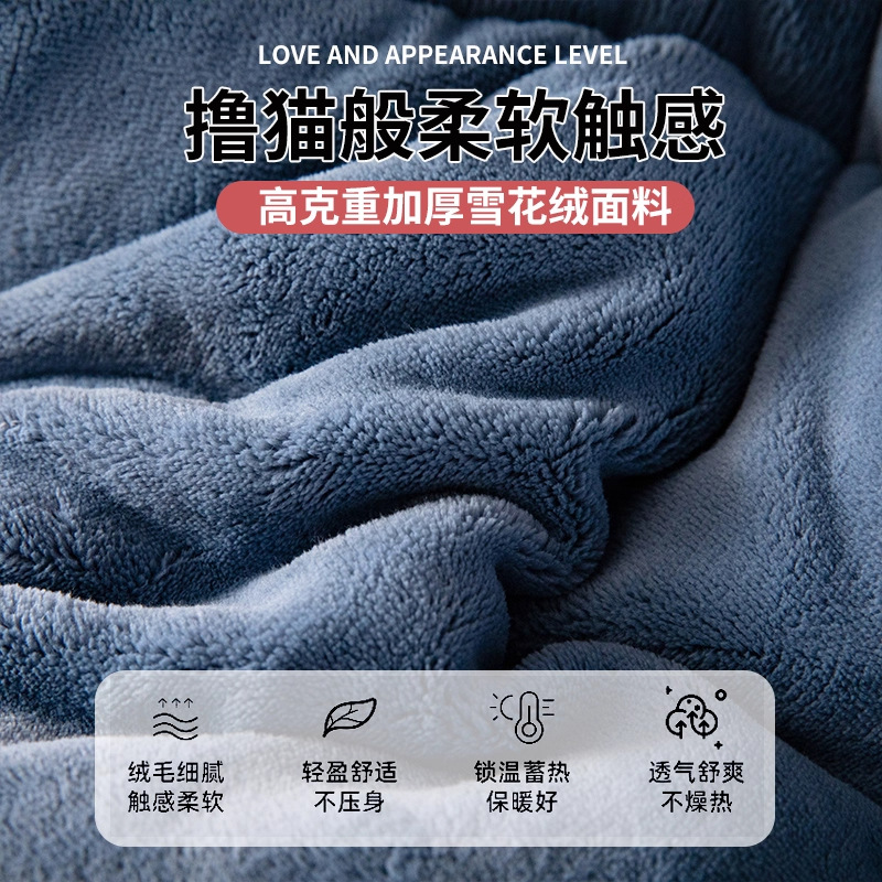 Picture of Winter Lamb Wool Quilt, Thickened Version, Warm Fleece Quilt, Autumn and Winter Milk Velvet Cotton Quilt, Student Dormitory Quilt Core