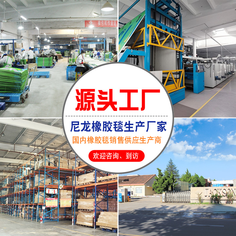 Picture of Jiecheng Carpet Custom Nylon Color Yarn Dust Removal Rubber Carpet Commercial Hotel Company Entrance Floor Mat