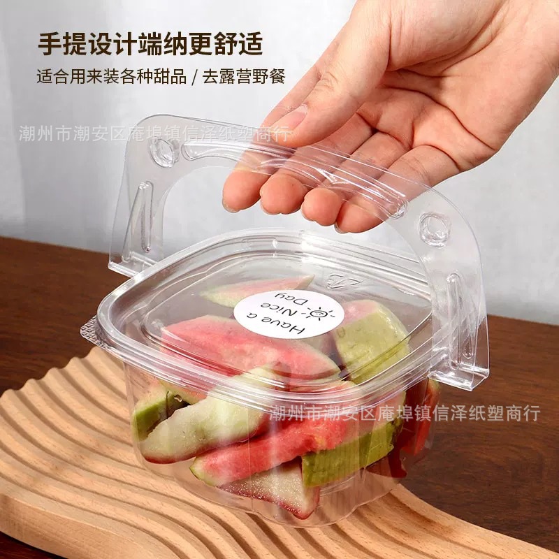 Disposable Fruit Packaging Box, Fruit Cutting Platter Packaging, Special Lunch Box for Spring Outing and Picnic Lunch Box