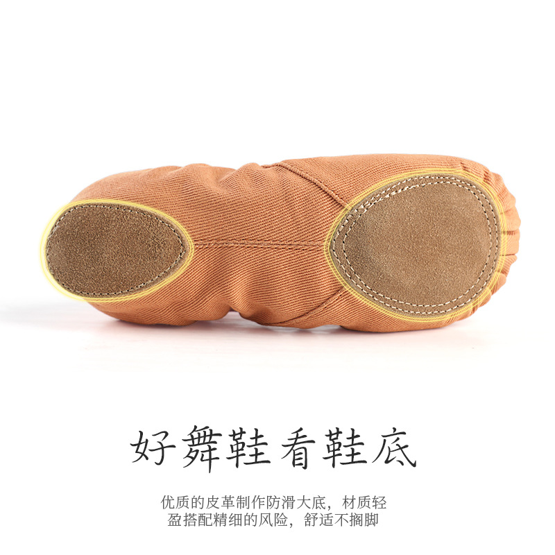 Picture of Dance Shoes Practice Shoes Body Ballet Cat Claw Shoes Children's Lace-up Free Full Stretch Cloth Canvas Soft-soled Shoes