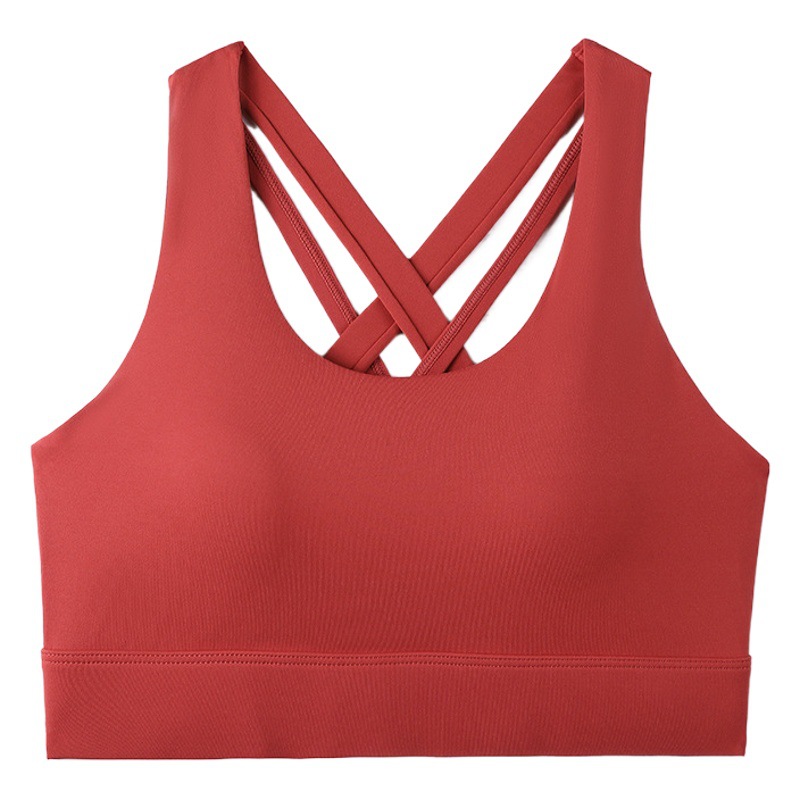 New Fixed Cup All-In-One Beautiful Back Sports Bra High-Strength Support Shock-Proof Yoga Running Fitness Bra for Women