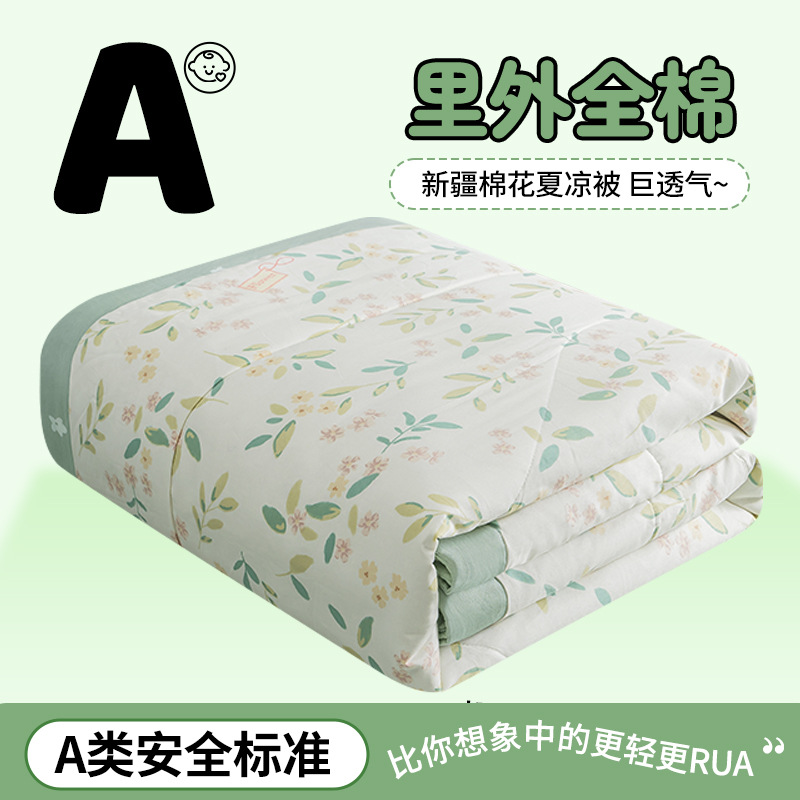 Class a small fresh cotton summer cool quilt four-piece summer cotton air conditioning quilt student dormitory summer quilt quilt core ~