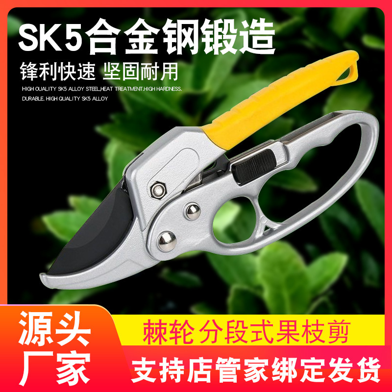 Turquoise segmented roller shears, labor-saving fruit branch shears, garden branch shears, SK5 thick branch shears, pruning shears