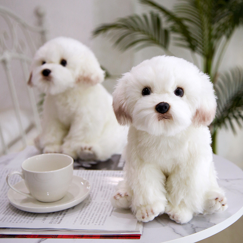 Picture of Simulation marzis dog doll cute plush toy white dog decoration soothing doll birthday gift