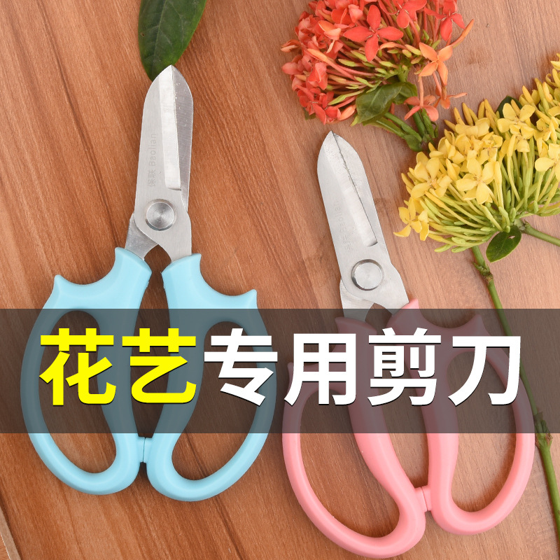 Floriculture Gardening Scissors Household Wide-head Flower Shears Flower Flower Shears Flower Shearing Branch Shearing Flower Pruning Tools