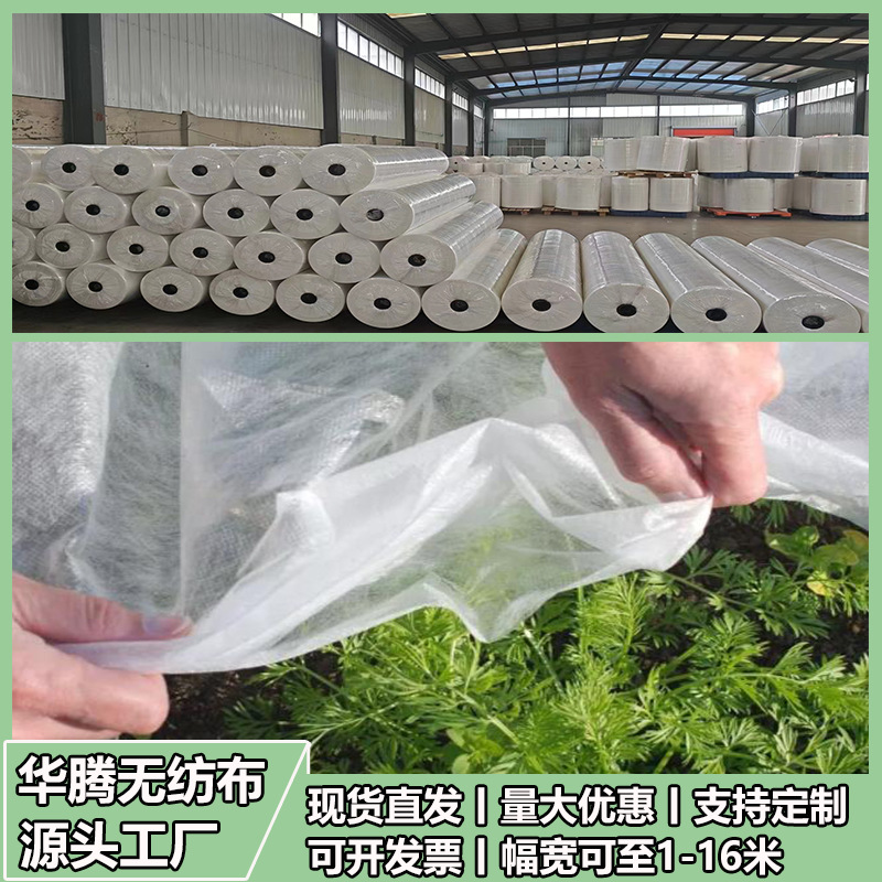Non-Woven Fabric Mulch for Agriculture, Suitable for Fruit and Vegetable Crops, Lawn Seedlings, Frost Protection, Insulation, Breathable, Moisture-Retaining, and with Good Ventilation