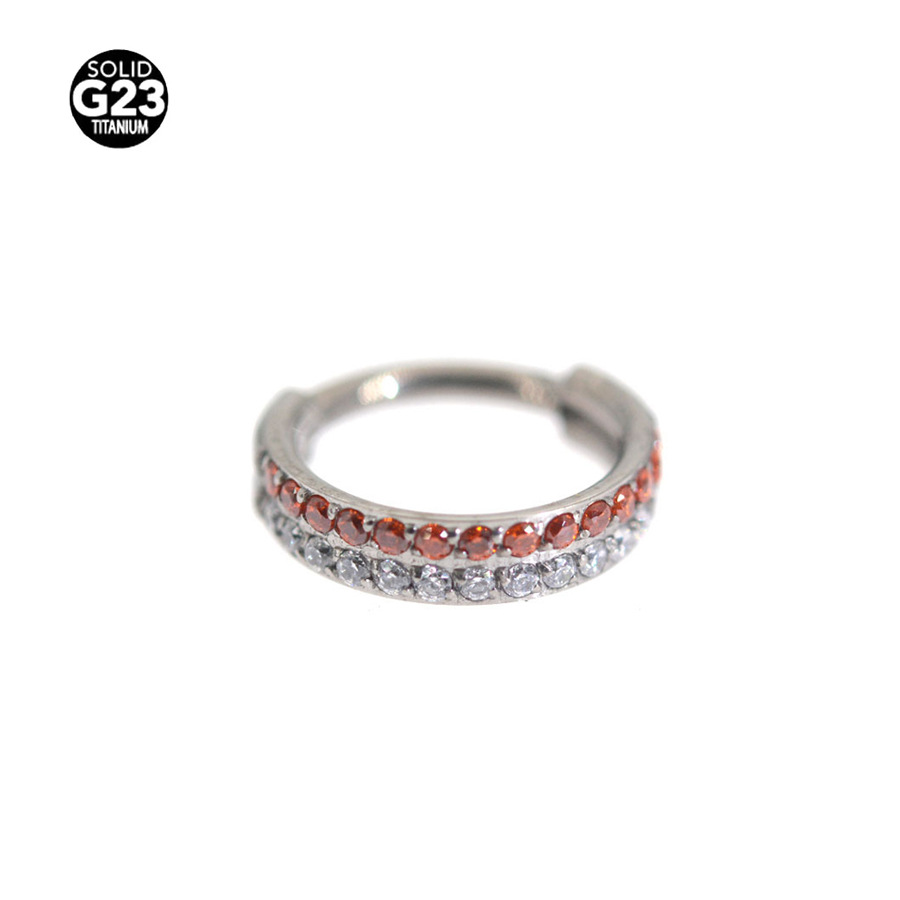 Picture of F136 titanium alloy 16G double drill nose ring earrings earrings closed ring puncture jewelry wholesale 2024 new