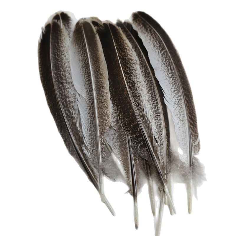 Picture of Wholesale turkey feather pockmarked nest feather pheasant feather diy handmade jewelry clothing accessories crafts decorative accessories