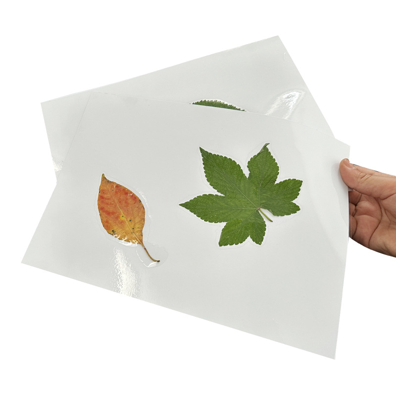 Picture of Wholesale A4 Cold Laminating Film A3 Glossy Matte Frosted Transparent Protective Film 5inch A6 Glitter Cat Eye Sticky Photo Film