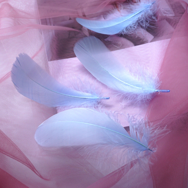 Picture of Macaron color feather decoration goose feather large and medium floating dream catcher gift box filled bouquet diy handmade material