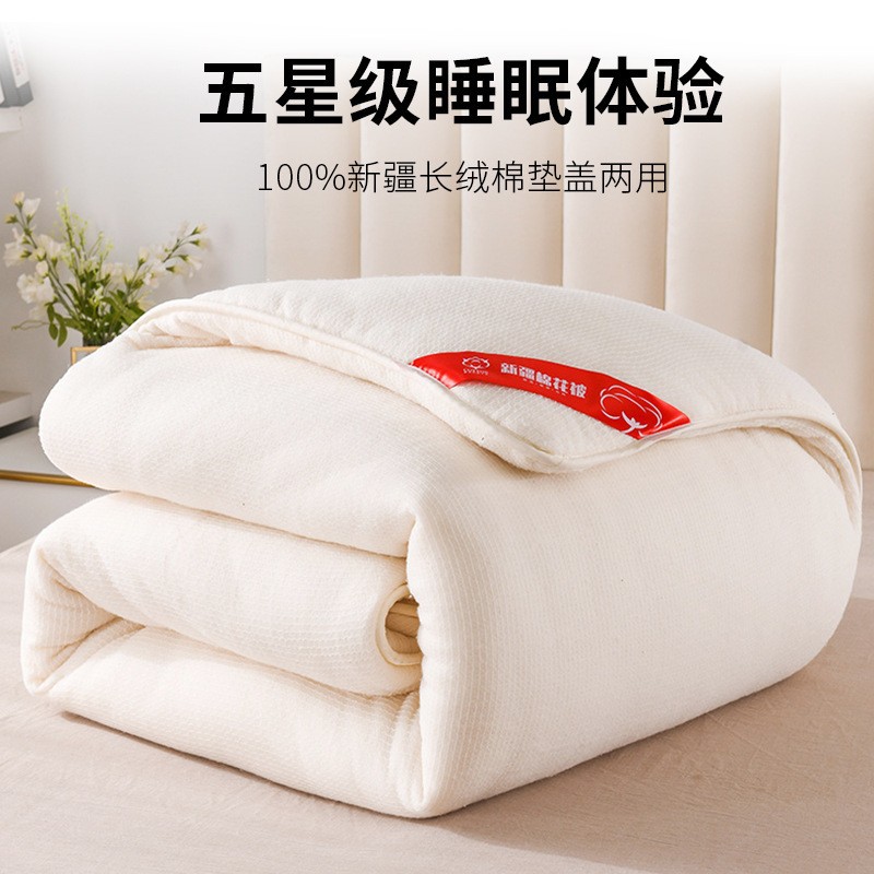 Xinjiang cotton quilt long-staple cotton quilt core warm quilt thickened autumn and winter quilt student dormitory mattress quilt wholesale