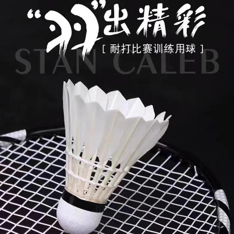 Badminton Manufacturer Wholesale Boca Badminton Teal Full Circle Durable and Stable Arena Training Competition 12 Pack