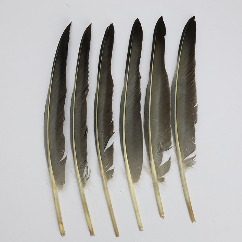 Picture of in stock hunchback gray goose feather primary color goose feather diy material accessories Zhuge Liang with feather fan accessories