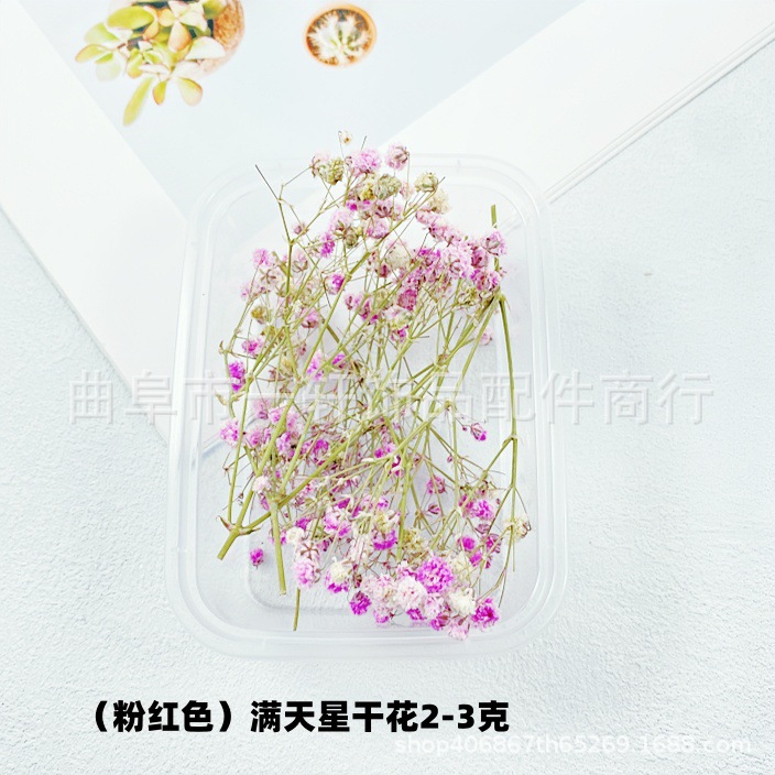Picture of Dried Flower DIY Material Boxed Real Flower Air-Dried Forget-Me-Not Rose Lover Grass Gypsophila Decorative Flower Material Handmade