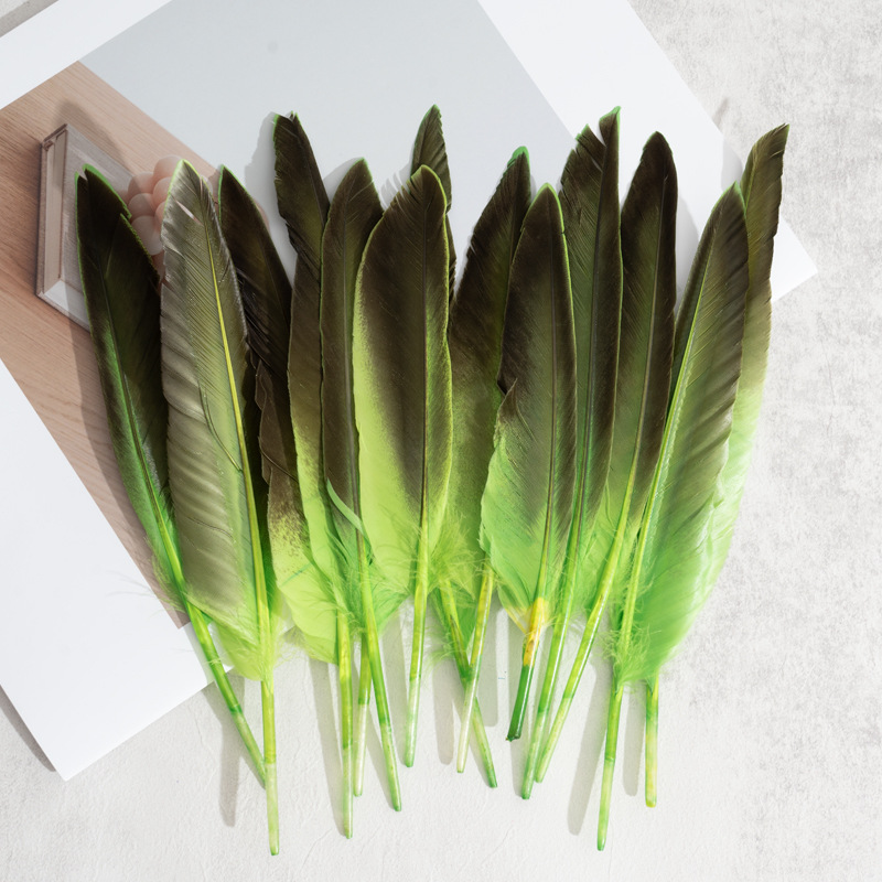 Picture of Feather Factory Wholesale Colorfulful Duck Feathers Hard Real Duck Feather Feather Pen Devil Wings DIY Handmade Materials