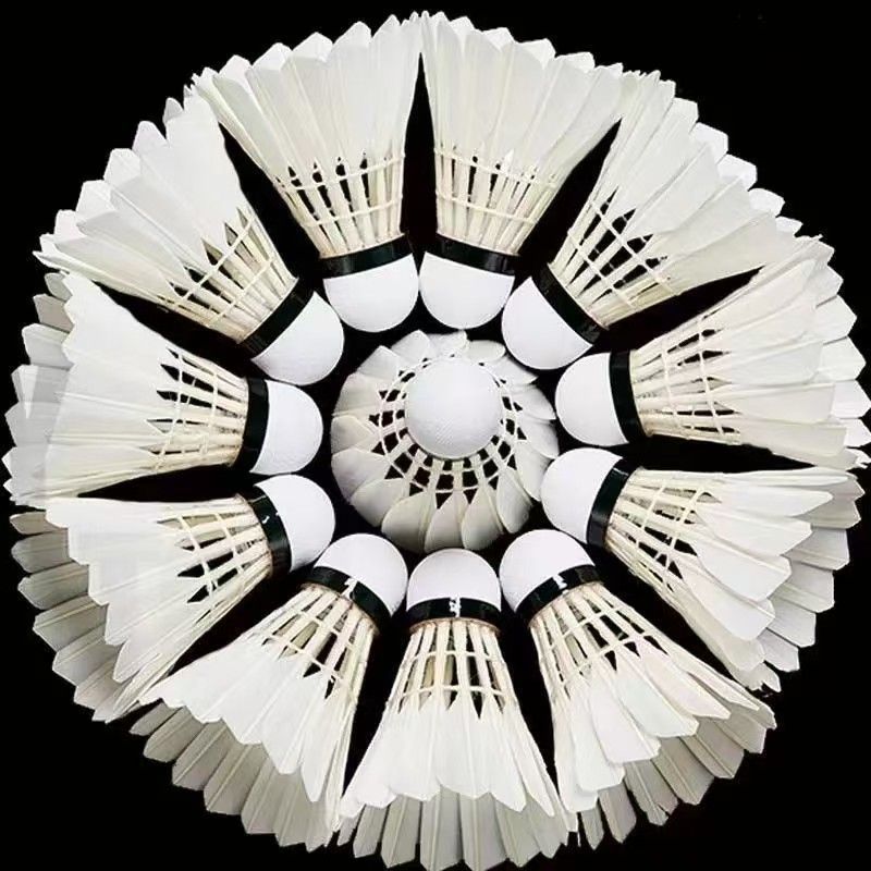 Badminton is durable and not easy to rot, 12 6 adult children's learning and training competitions goose feather badminton, cross-border