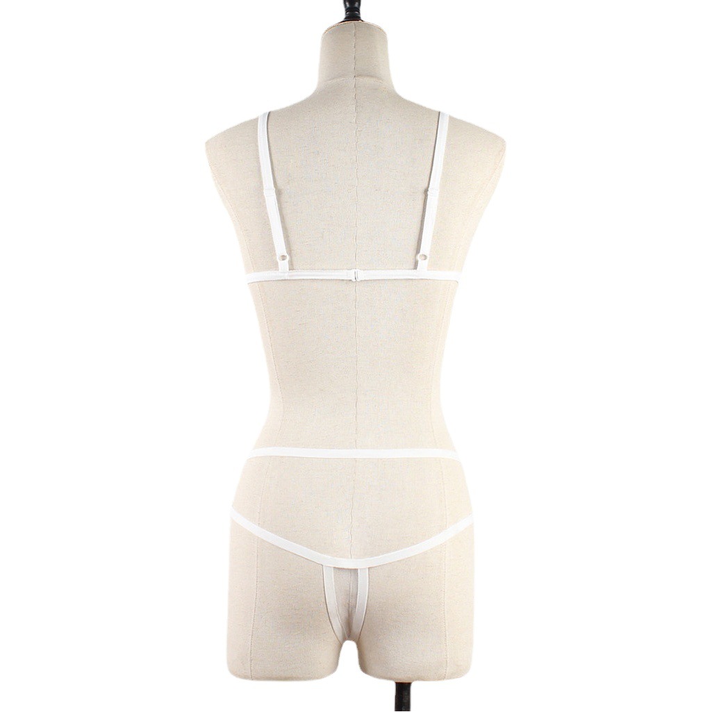 Foreign trade Europe and the United States sexy underwear women's mesh transparent strap bra underwear three-point set manufacturers wholesale generation