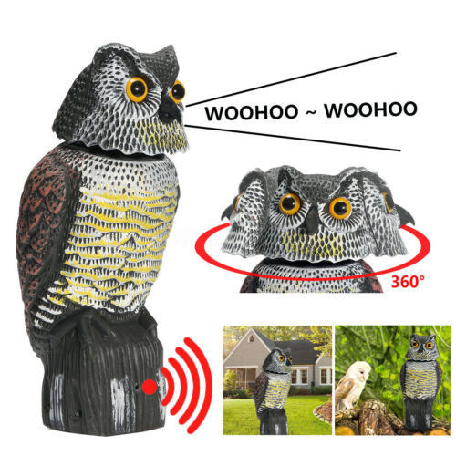 Picture of Cross-border simulation owl ornaments decoration can shake his head garden rodent blow molding crafts scare bird props Amazon