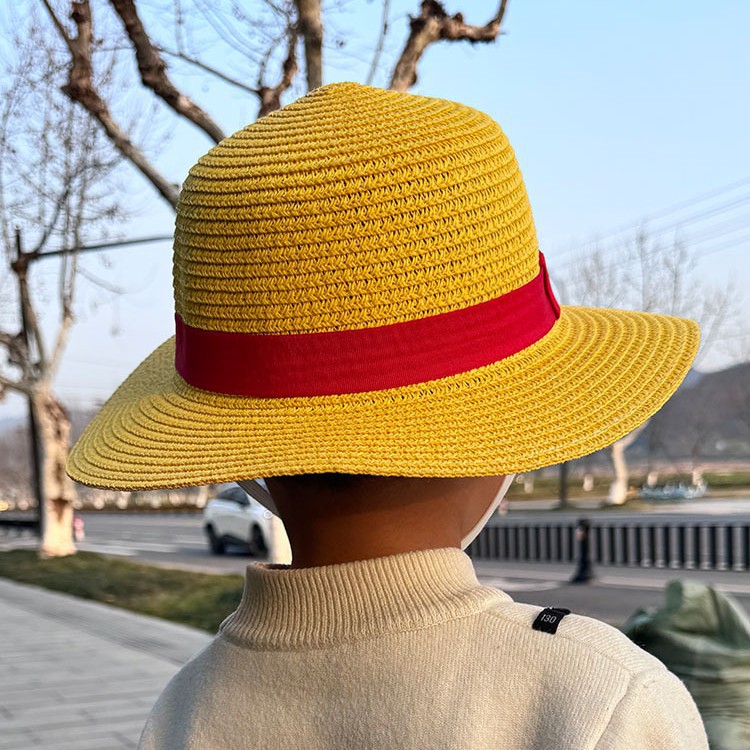 Picture of One Piece Luffy Beach Hat Children's Outdoor Sunshade Straw Hat Male and Female Students Travel Straw Hat