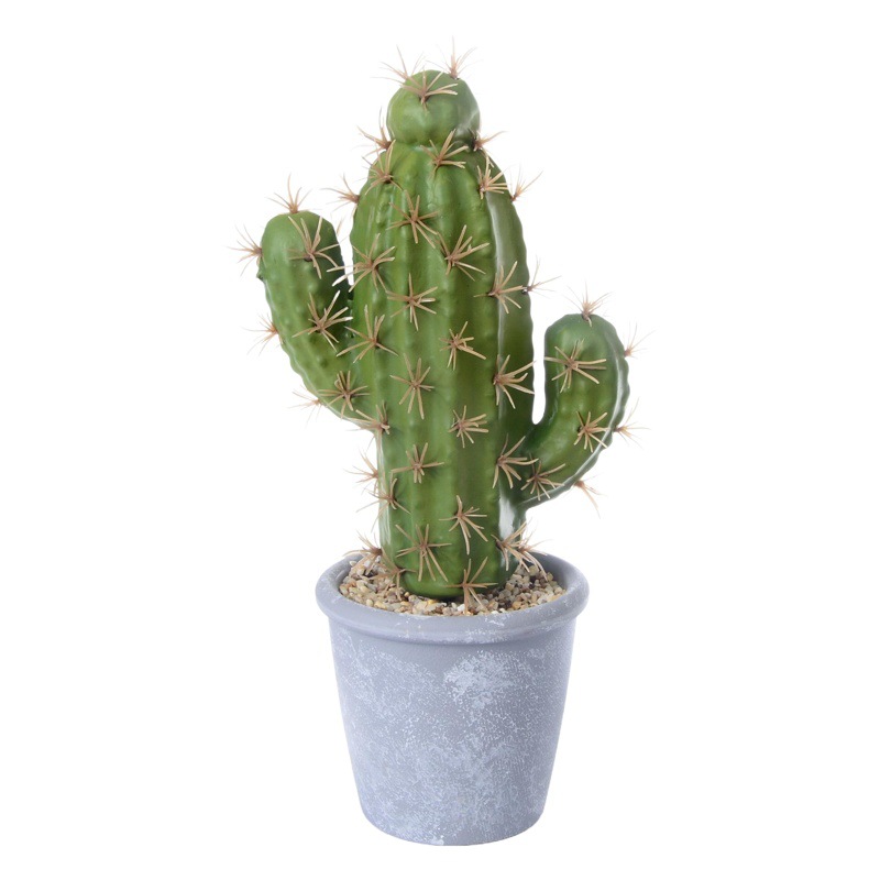Artificial Flowers, Tropical Plants, Cactus Potted Plants, Indoor Decorations, Direct Supply from Manufacturers, Cross-Border Dropshipping, Succulents