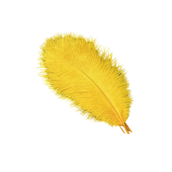 Picture of White ostrich feather 25-30cm natural ostrich feather dyed feather wedding decoration lamp ornament feather