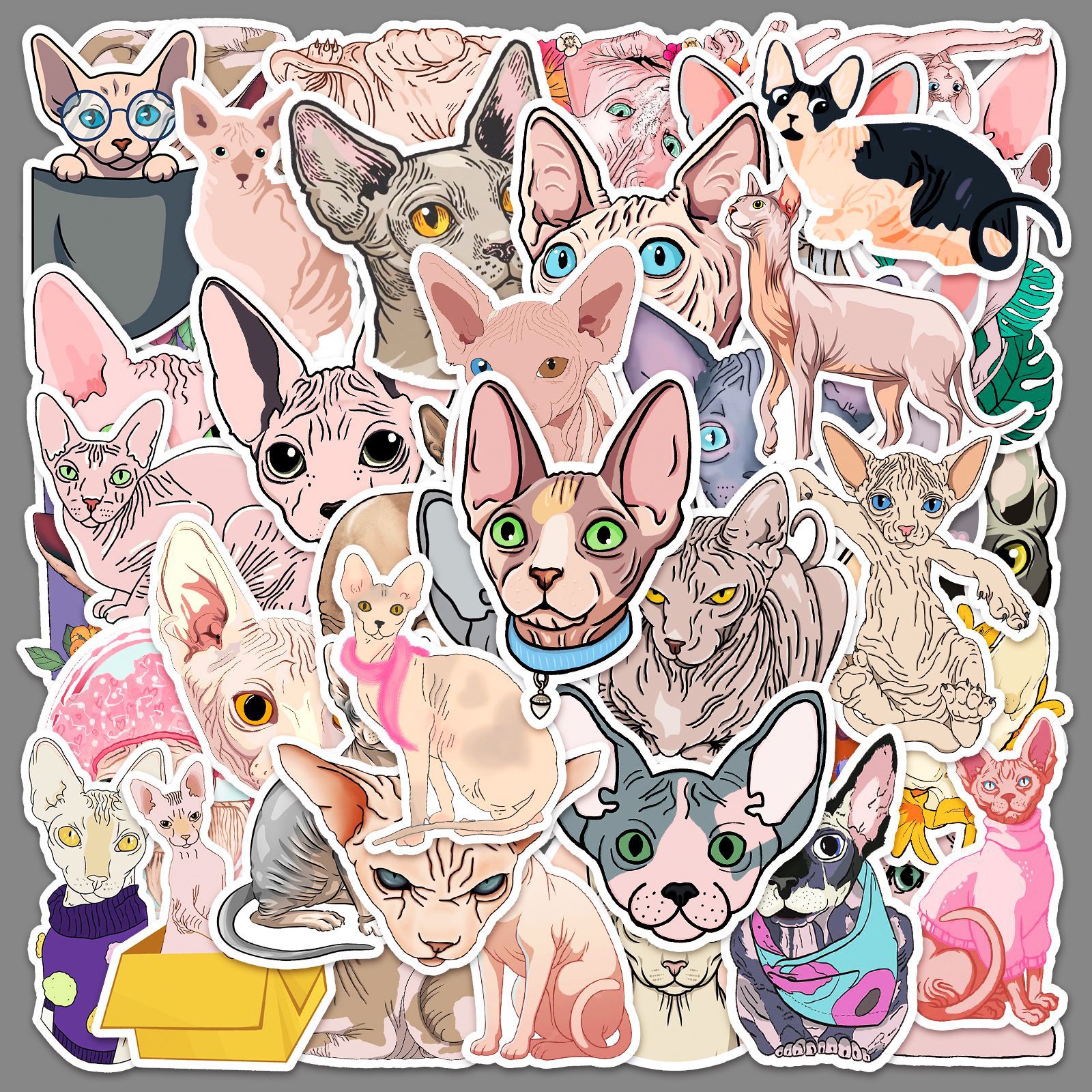 50 Sphinx hairless cat cute cat cartoon animal hand ledger sticker cup goo card material decoration