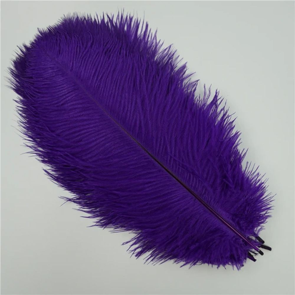 Picture of 10-15cm ostrich hair source factory bouquet wedding decoration feather wall handmade DIY crafts stage clothing