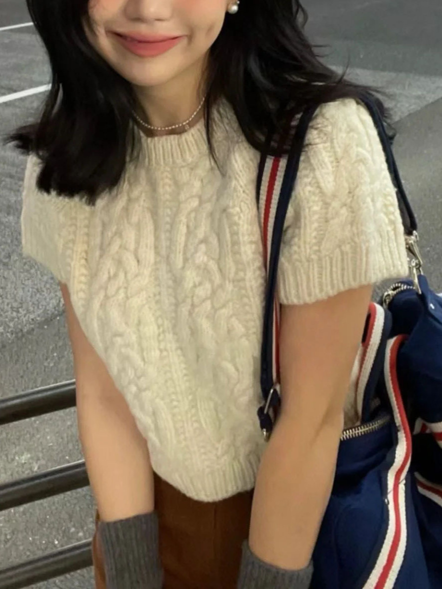 South Korea Dongdaemun 2024 Spring and Autumn New Fashion Hemp Pattern Round Neck Short Sleeve Knitted Sweater Women's Slimming Pullover Sweater