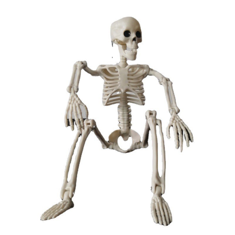 New Heavy Product Skull Joint Adjustable Halloween Horror Ornaments Pumpkin Body Skeleton 40 90cm Skull Rack