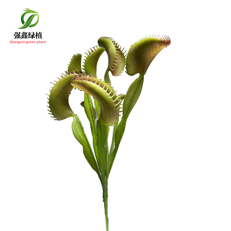 Picture of Artificial succulent Cordyceps simulation fly-eating grass people stay small bonsai decorative AliExpress Amazon supply