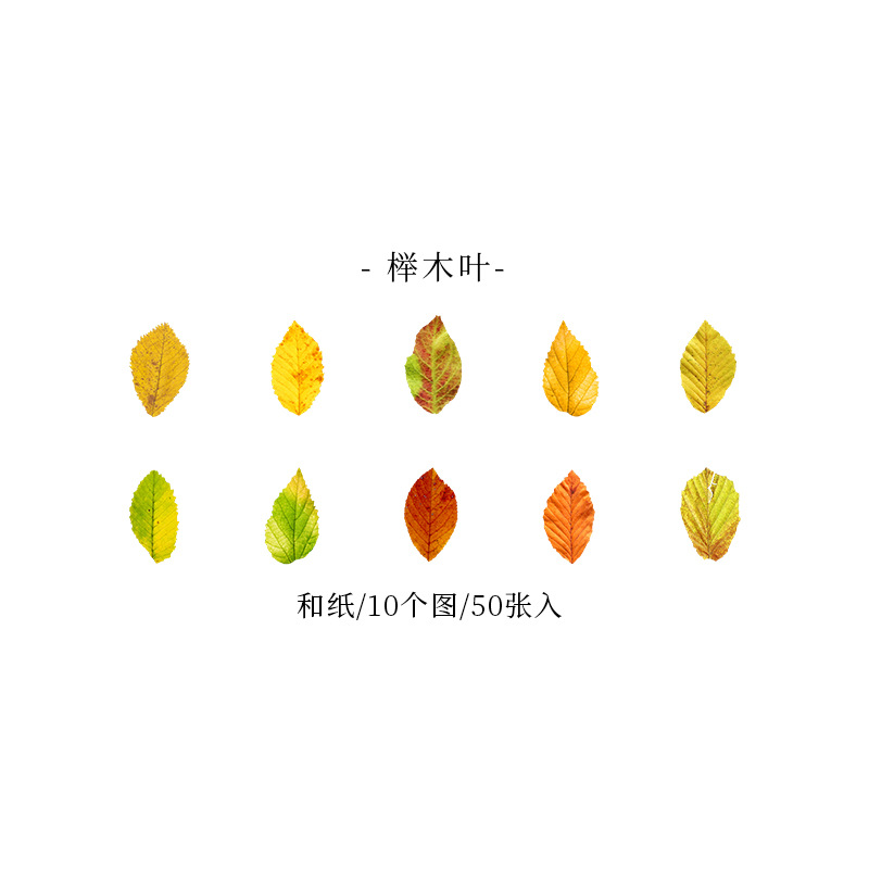 Picture of A Beautiful Day Tape Champs Elysees Leaves Series Creative Plant Hand Account DIY Decorative Stickers 8